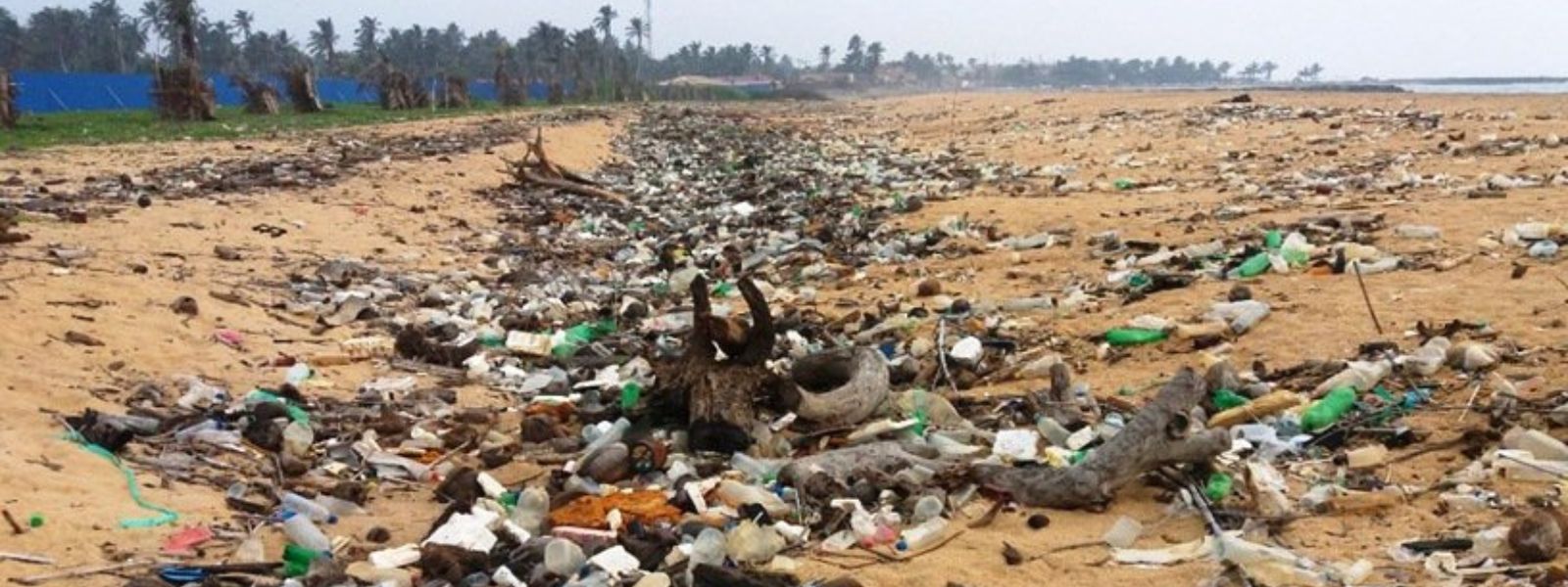 SL Nets 180 Polluters in Environmental Blitz